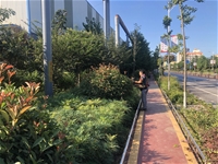 【基层动态】全员参与，打响绿植抗旱保卫战