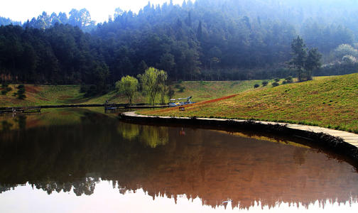 春日迟迟 春日迟迟