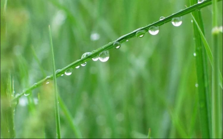 与春天相约 与春天相约