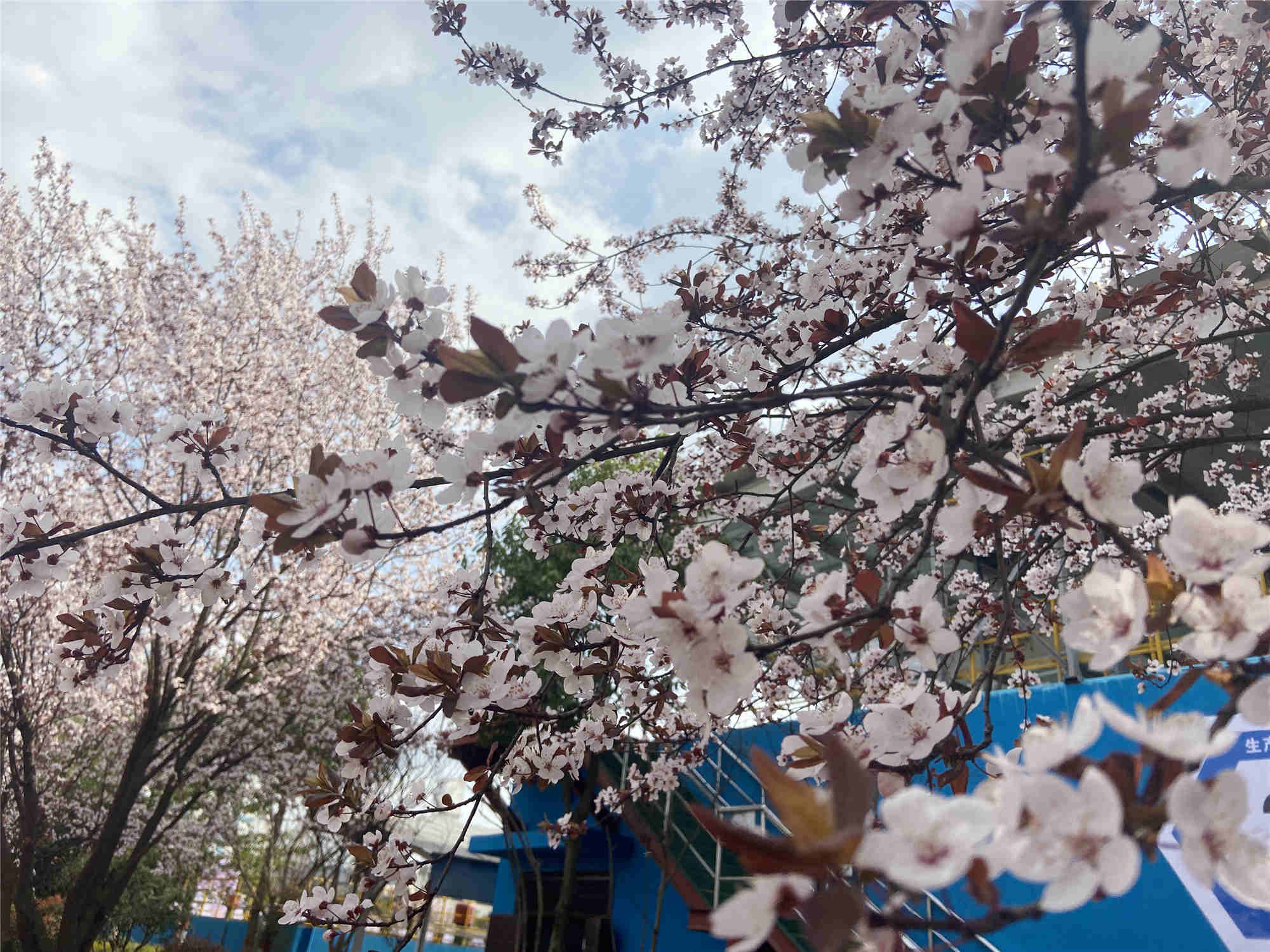 着新装、换新颜,“我们”在行动 着新装、换新颜,“我们”在行动