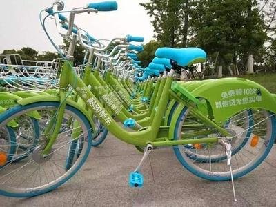 与单车有约 更需勿忘安全