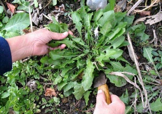 不舍的一份“情缘” 不舍的一份“情缘”