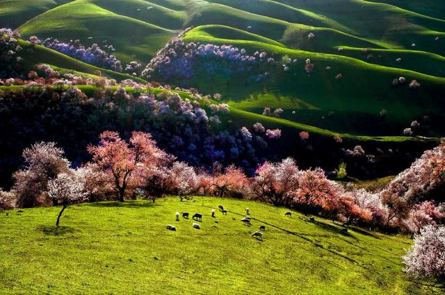 最美莫过三月天