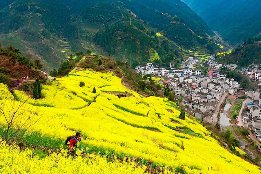 愿所有美好如期而至
