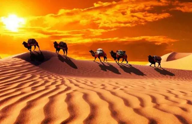 属于我们的“丝绸之路” 属于我们的“丝绸之路”