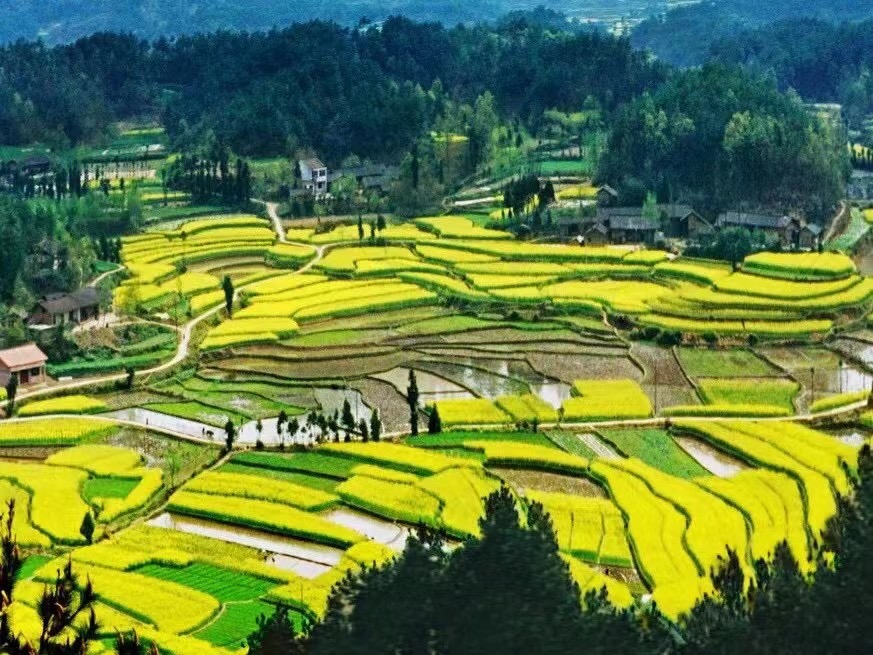 人间三月天，寻春在汉中