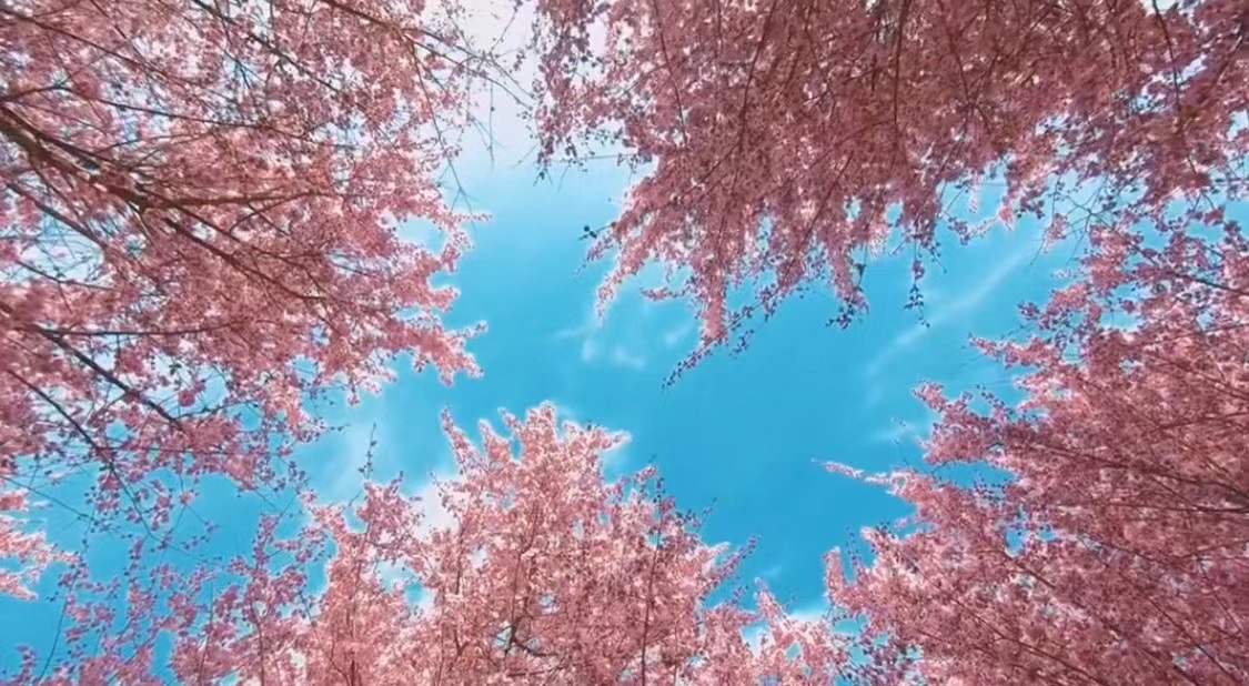 人间三月天，寻春在汉中