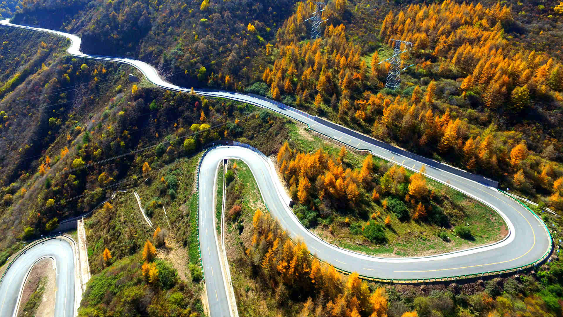 故乡的路 故乡的路