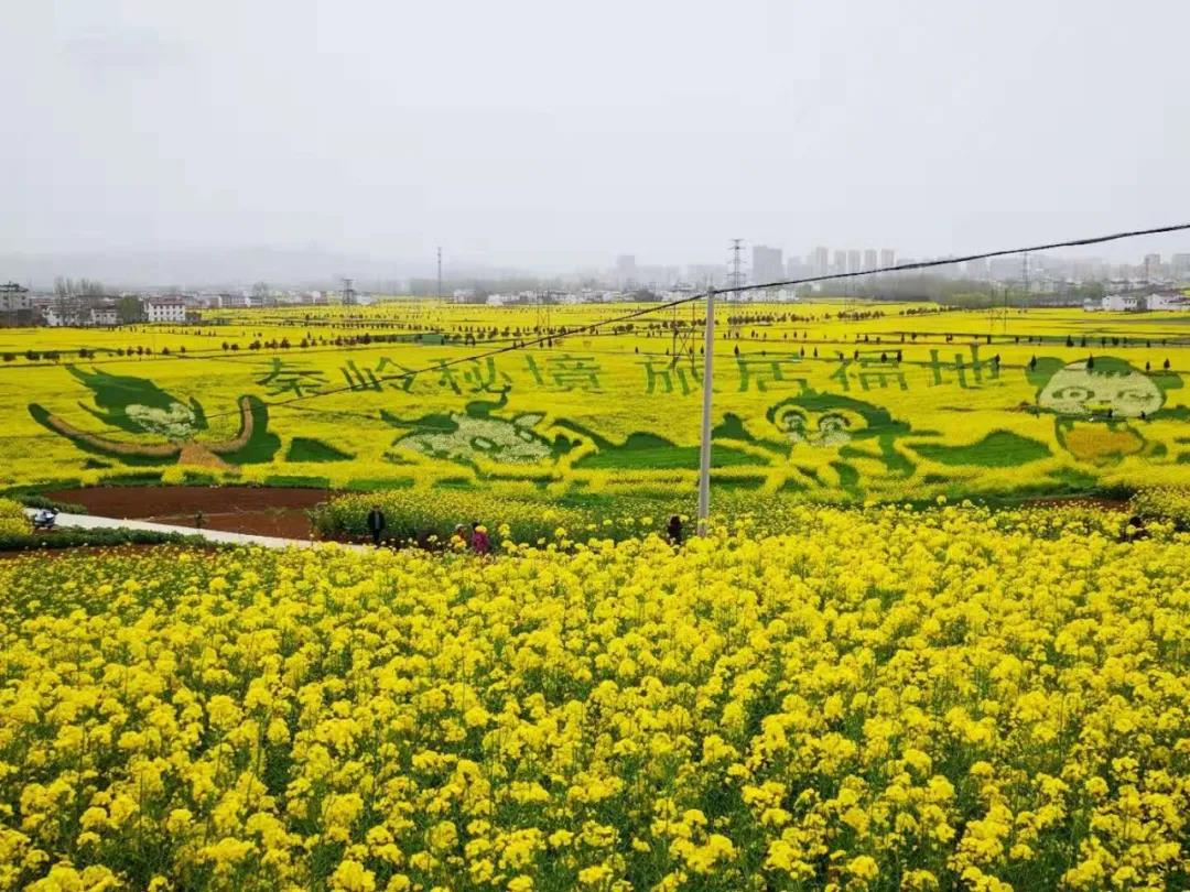 熟悉的味道 熟悉的味道