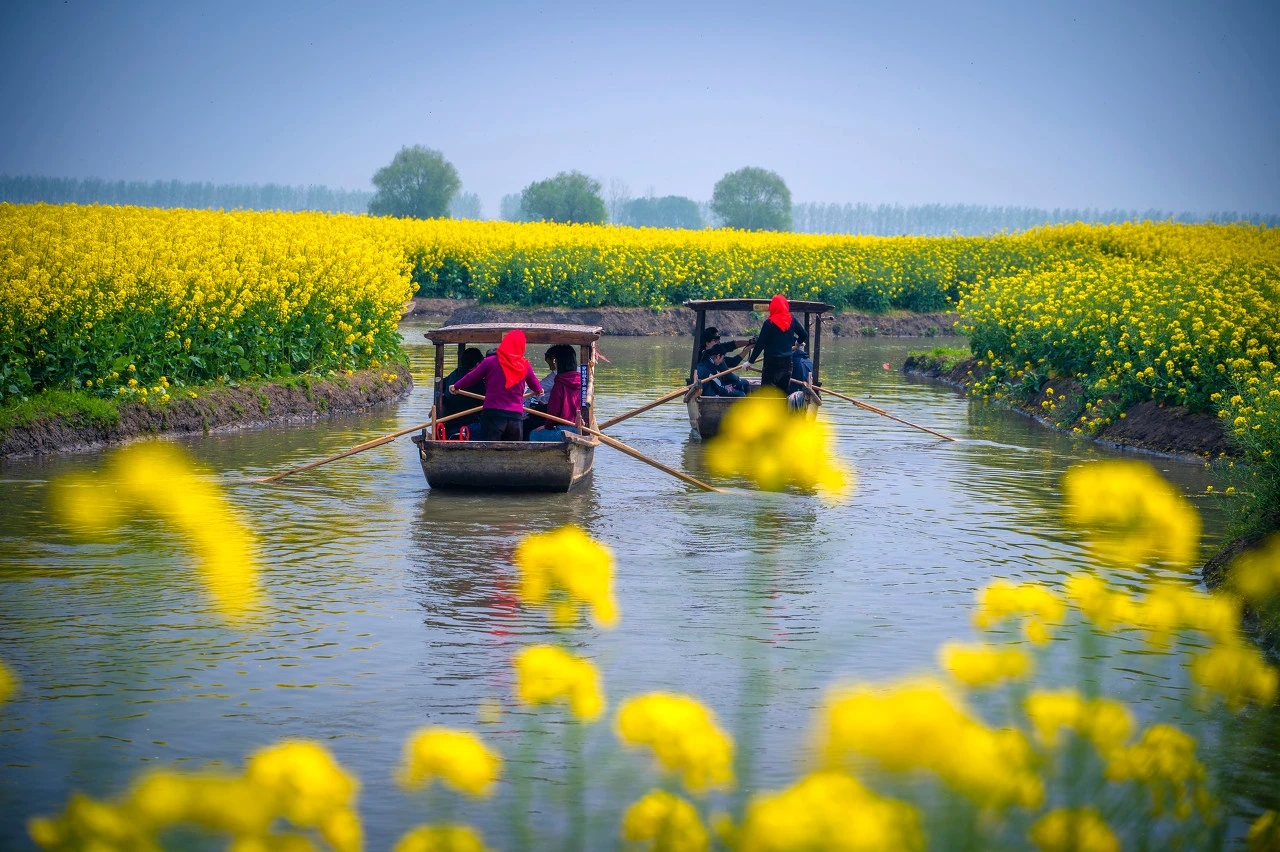 和春天一起，共赴油菜花海