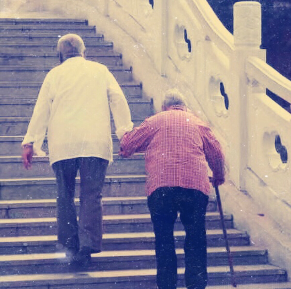 病房里的父母爱情