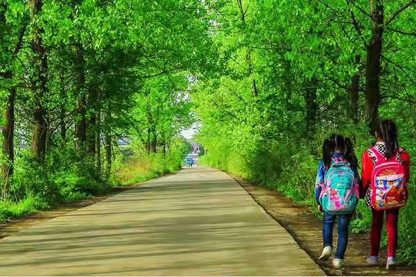 儿时的清晨 儿时的清晨