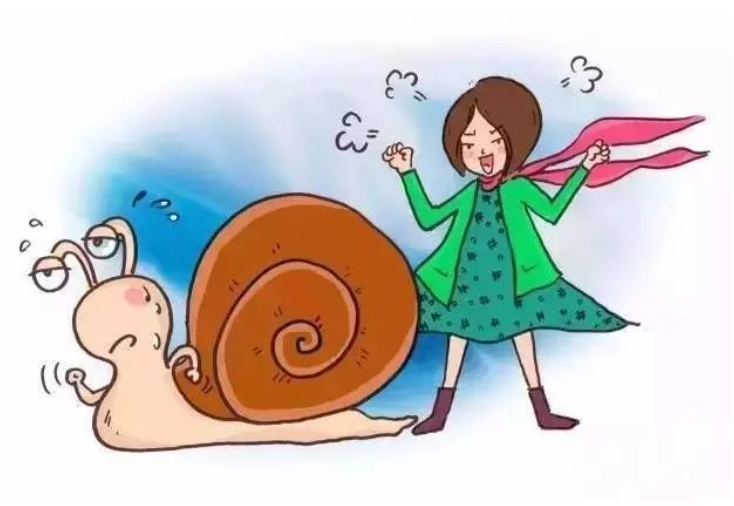 我与“小蜗牛”的日常小事