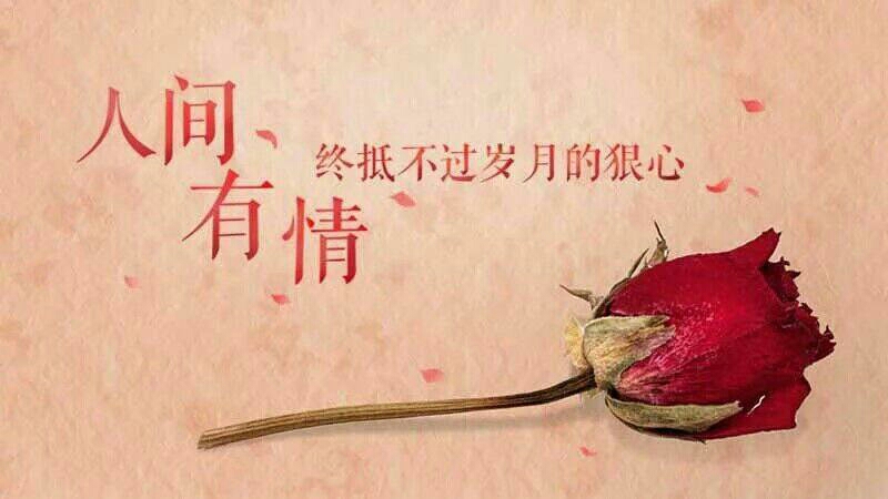 世间有情 世间有情