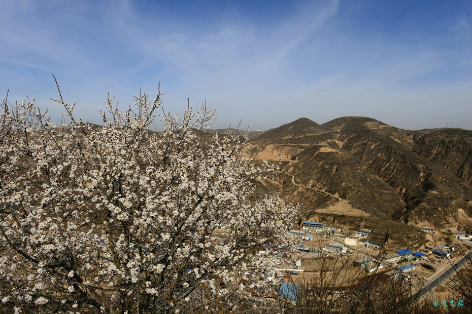 萧鼓追随春社近 脱贫攻坚气象新 萧鼓追随春社近 脱贫攻坚气象新