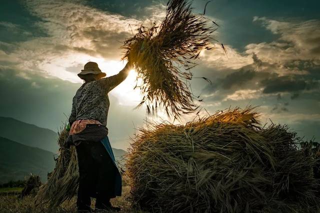 中国梦 劳动美 中国梦 劳动美