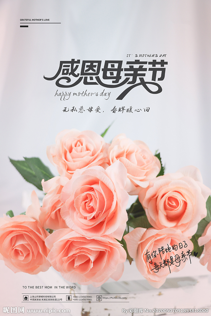 母亲，让我送你一束康乃馨