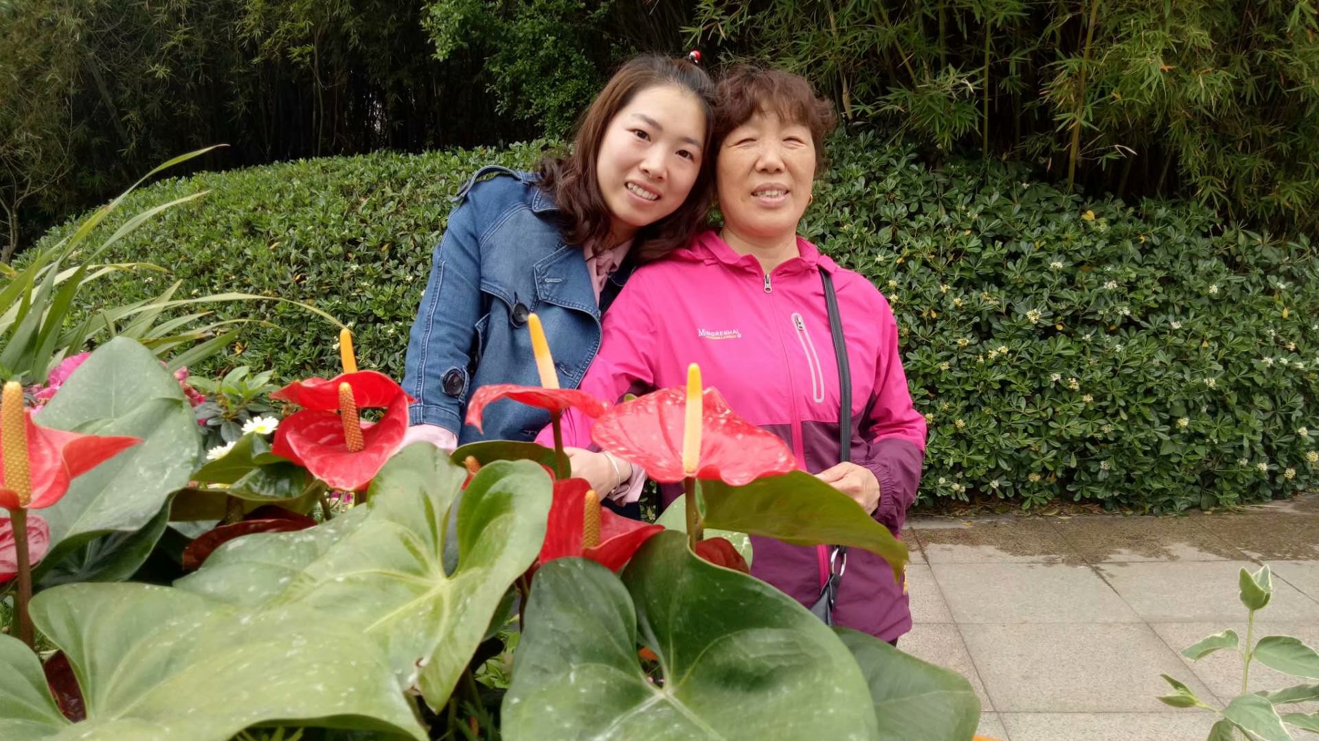 我的母亲 我的母亲