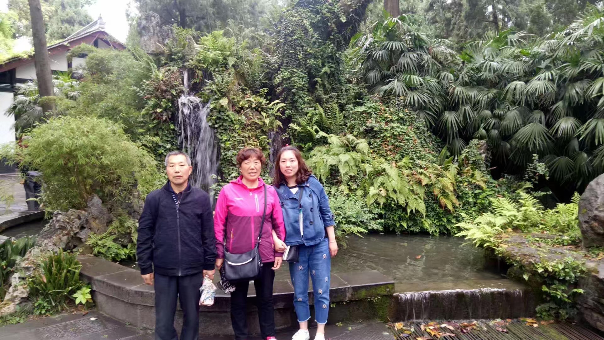 我的母亲 我的母亲