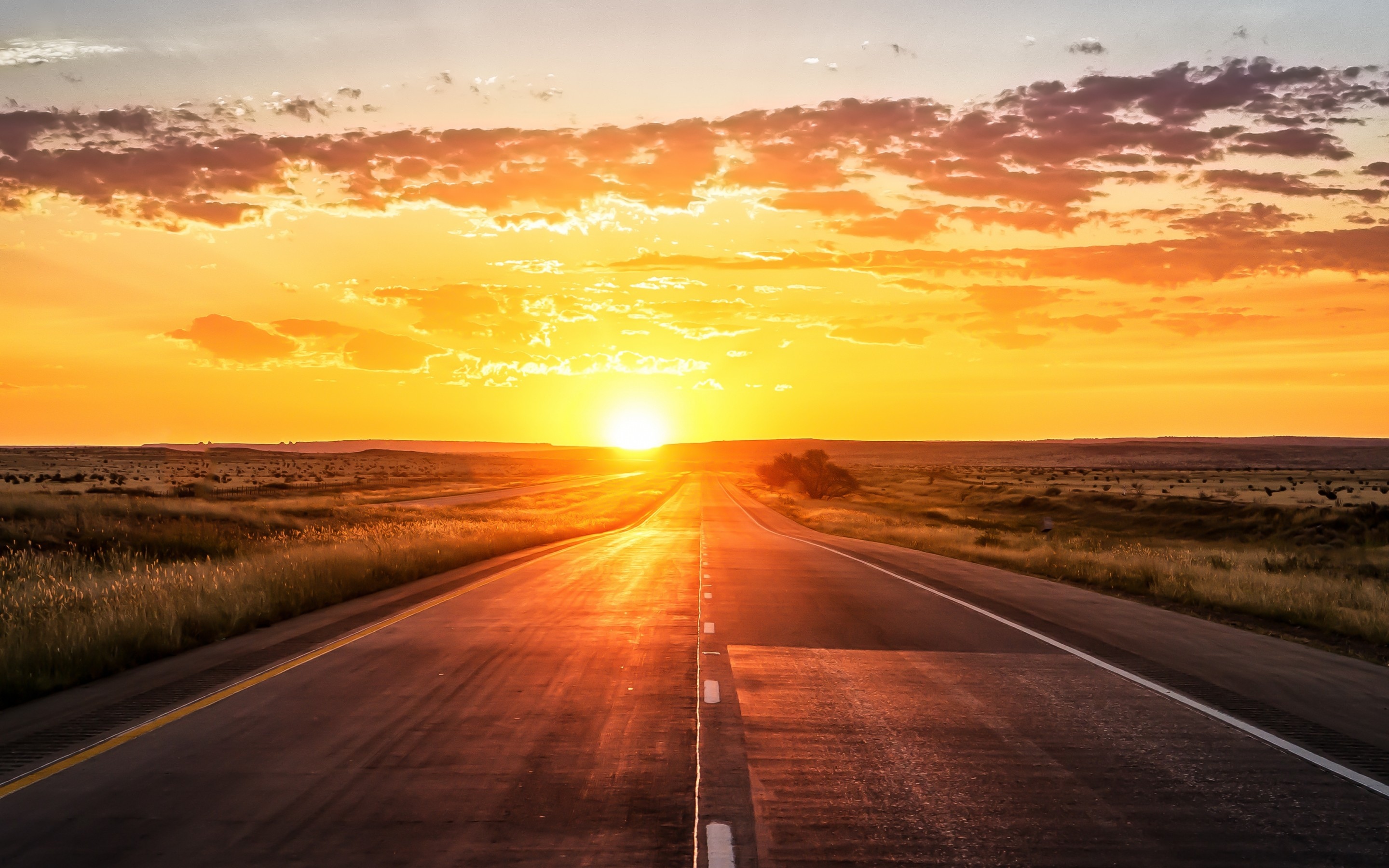 在日落大道，享受片刻
