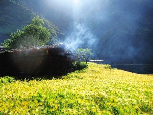 赋予生活的另一种方式