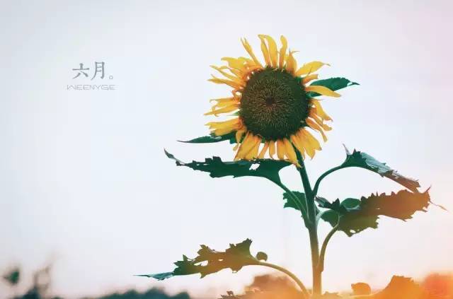 未泯童心快乐常在