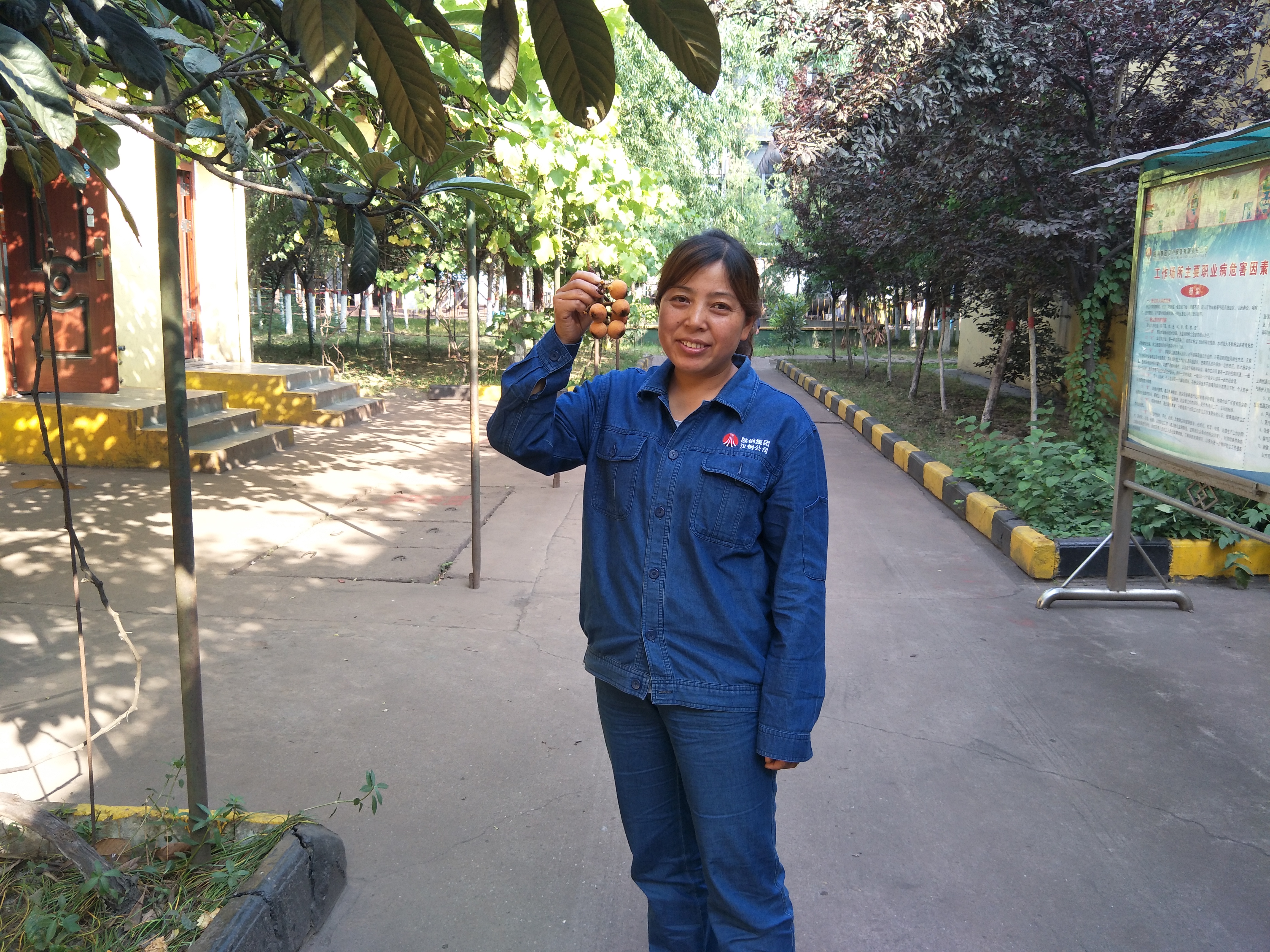 枇杷树下畅未来 枇杷树下畅未来