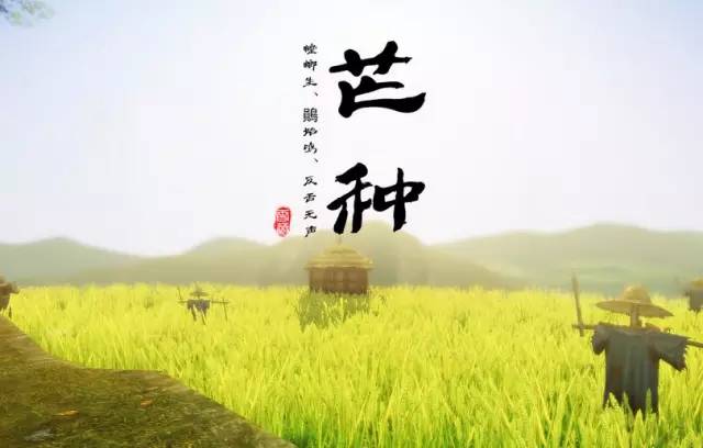 时雨芒种希望遍野 时雨芒种希望遍野