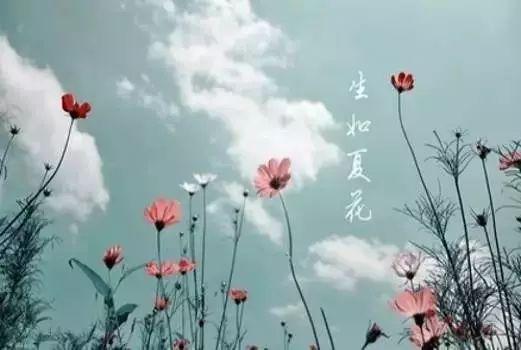 花样年华，生如夏花