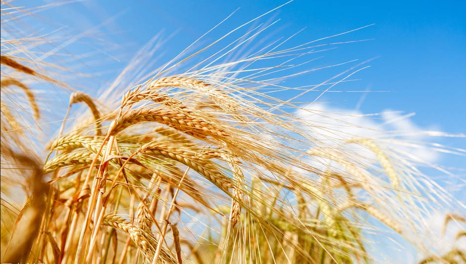 让记忆在夏天多停留一会儿