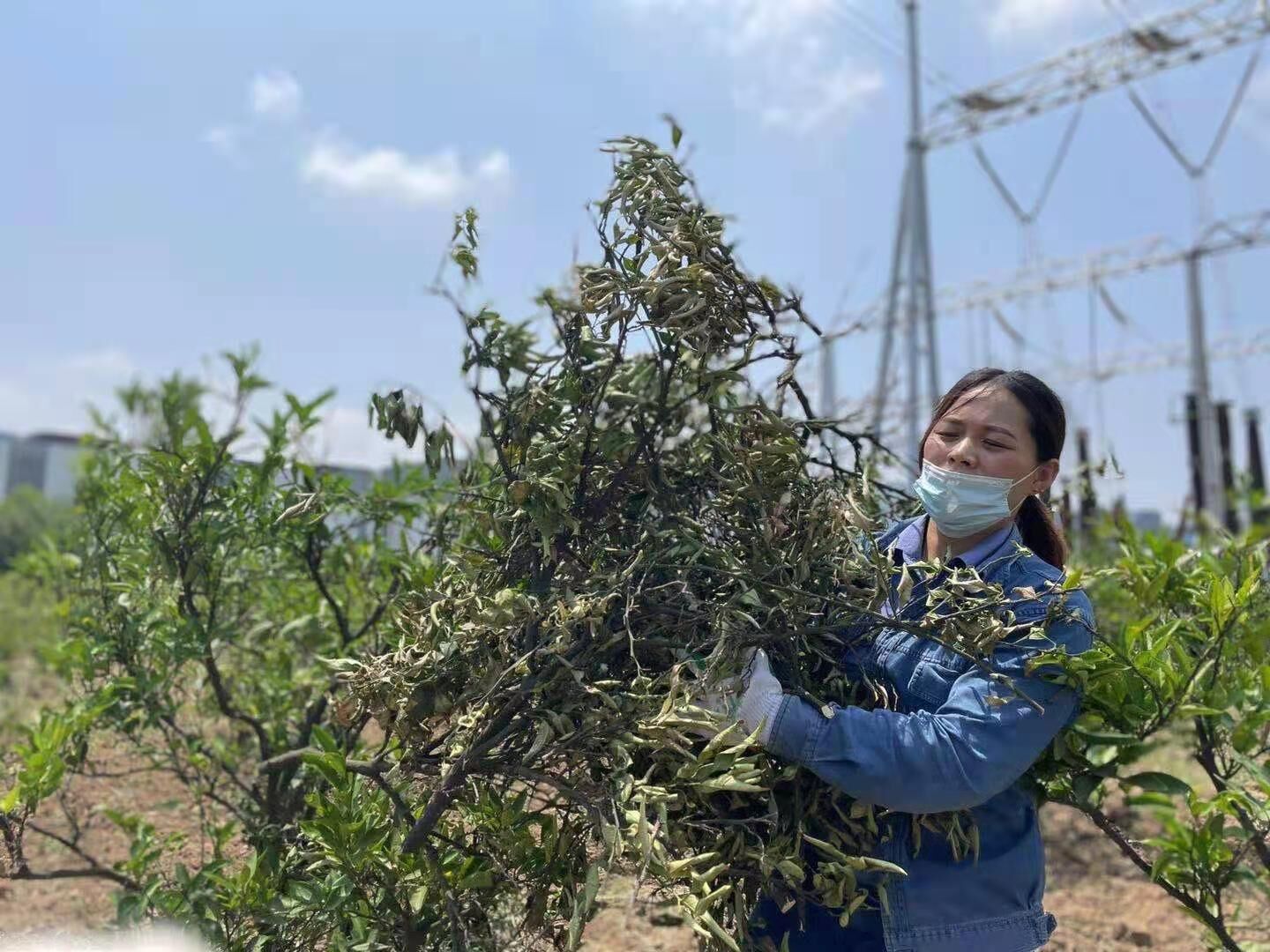 嘿 我们这个班 嘿 我们这个班