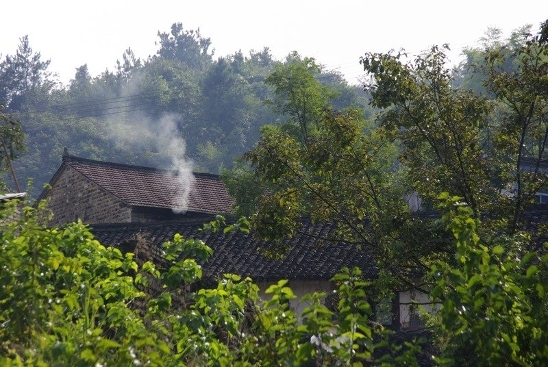 又见炊烟起 又见炊烟起