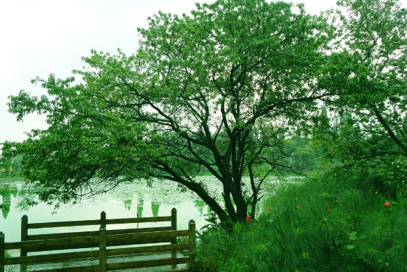 播撒希望  收获成长