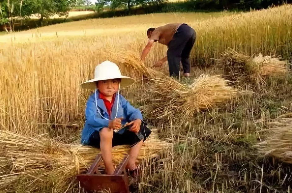 六月，收获在汗水中浸泡