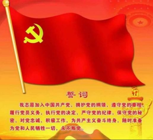 《致党代表》学习感悟