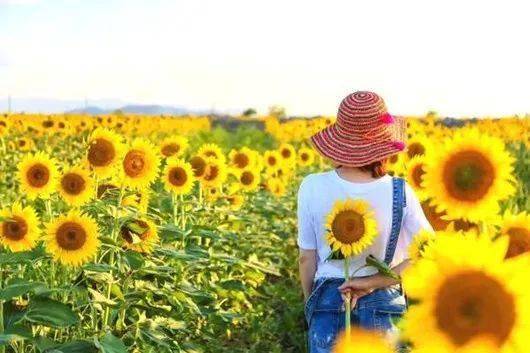 平凡中照见“幸福之花”