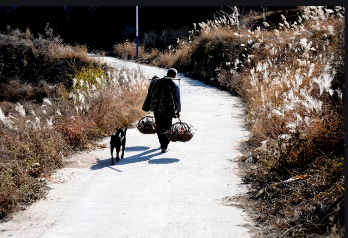 父亲的背影 父亲的背影