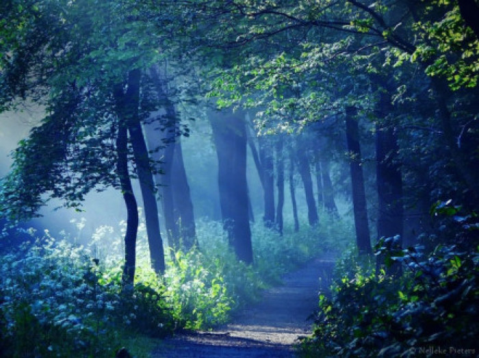 青山绿野，不会老去