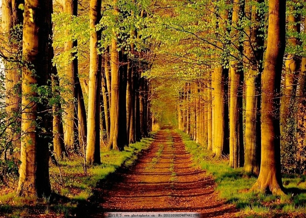 年华似水流，未忘来时路