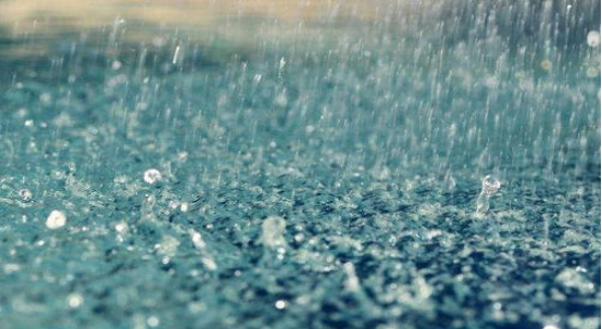 夏 天 的 雨 夏 天 的 雨