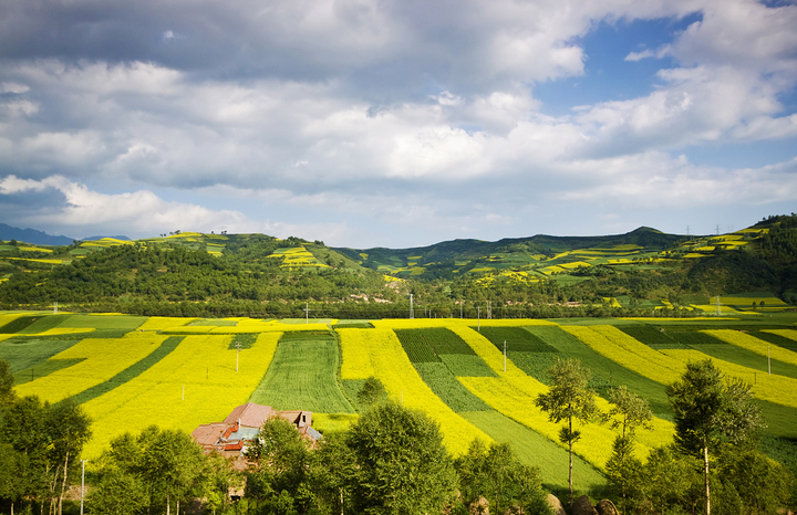 七月怀想 七月怀想
