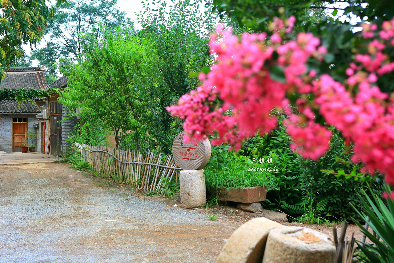 家有小院自生凉