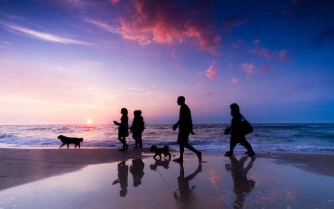 家，幸福的港湾