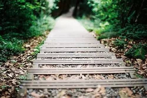 人心本无染，心静自然清