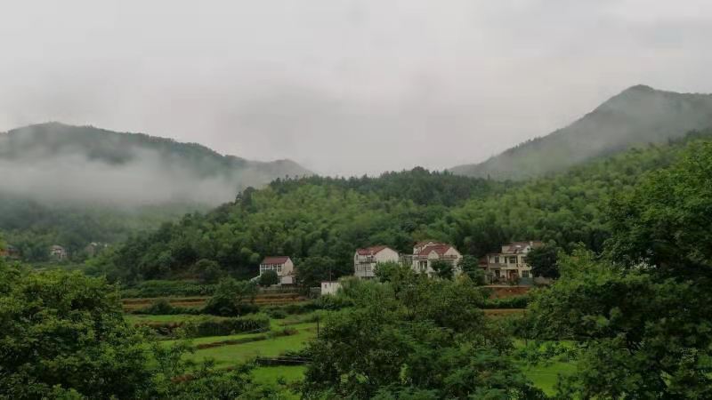 静怡人生 静怡人生