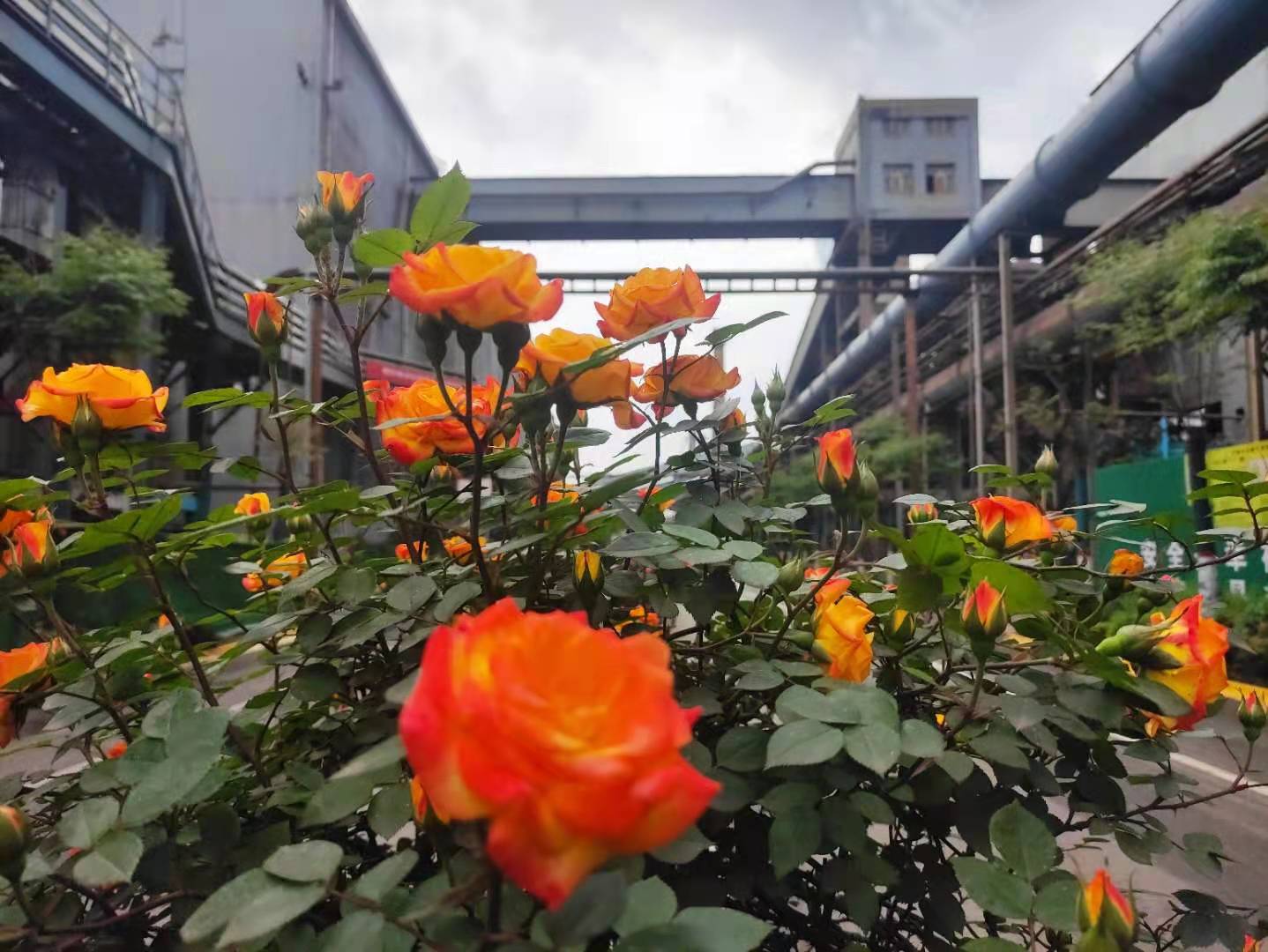 多彩钢城，共建共享