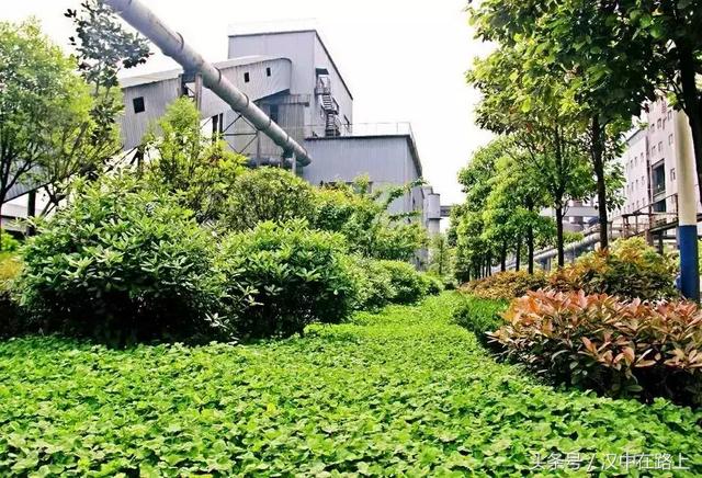 多姿多彩的钢城生活