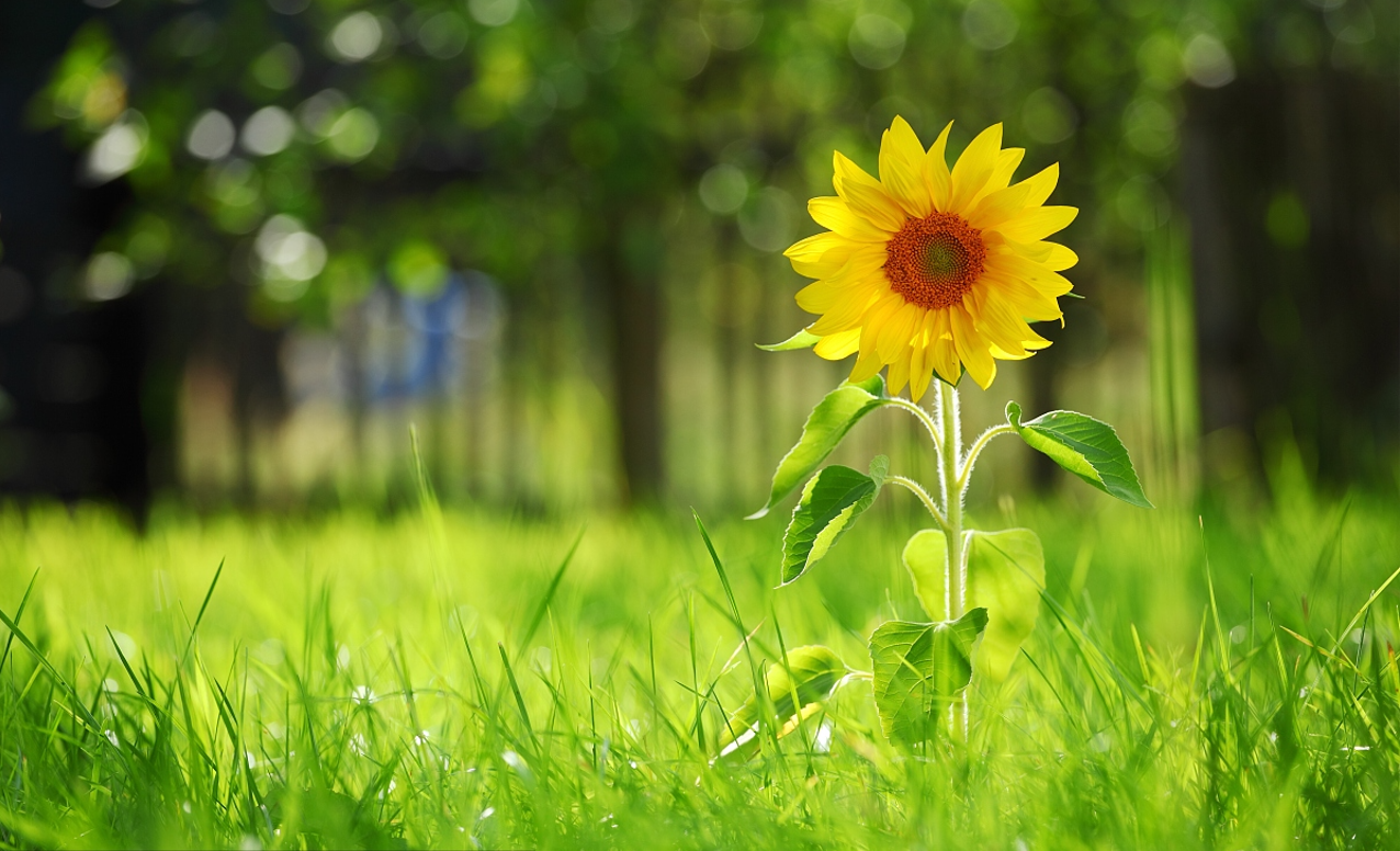 八月，时光与你