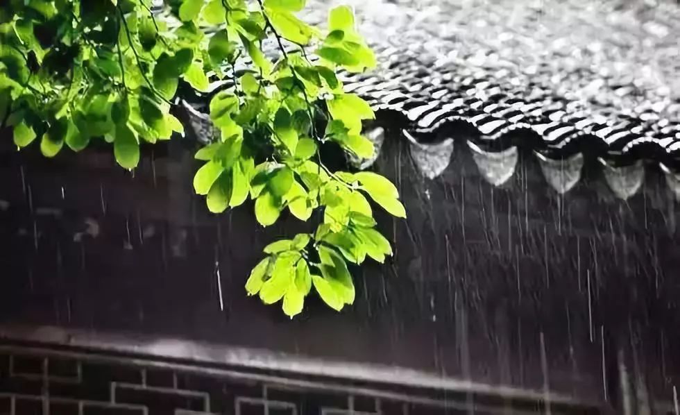 盛夏关中品雨