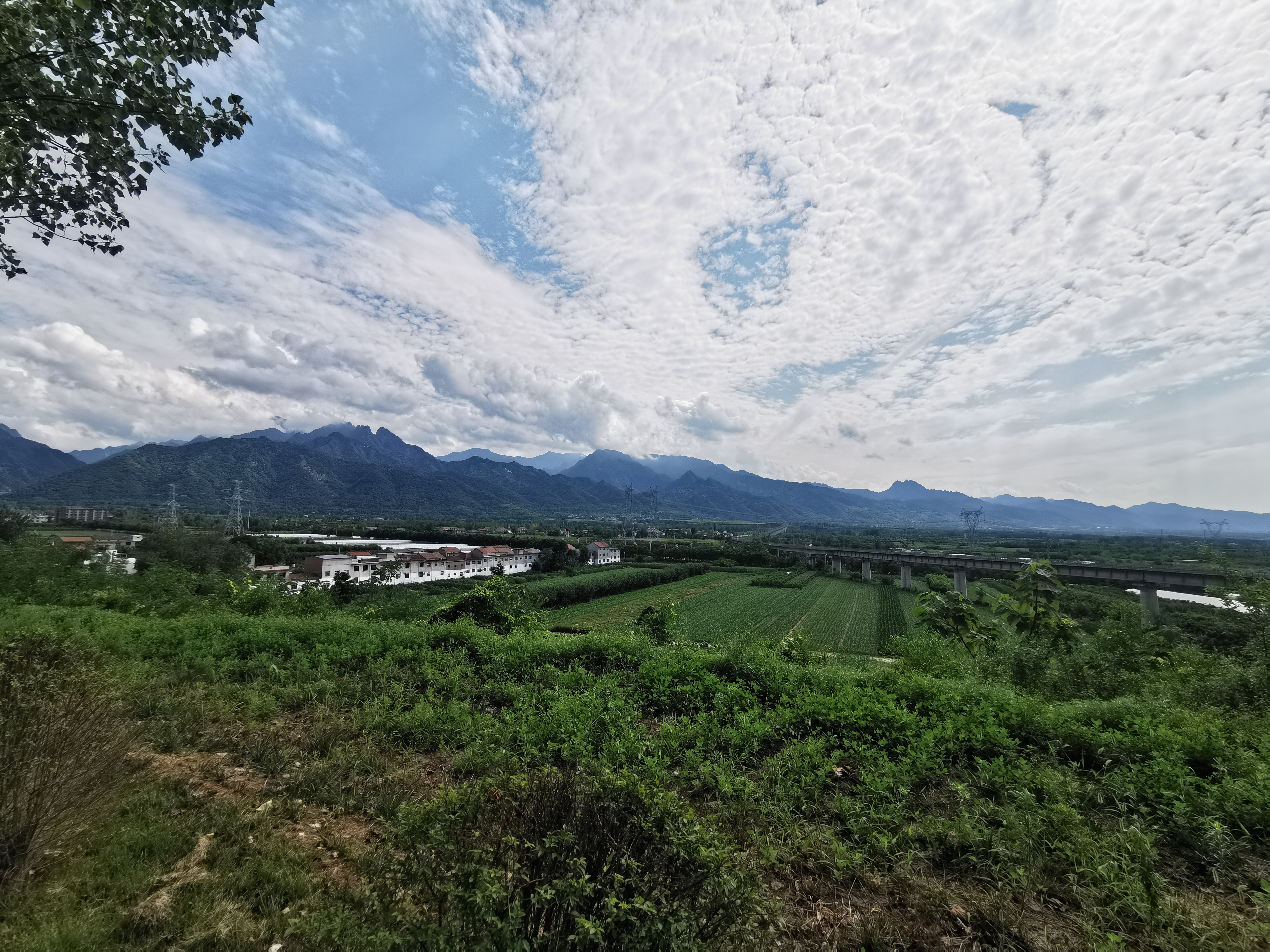 滚一身泥巴，炼一颗丹心